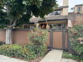 featured image of 250 Cordova St