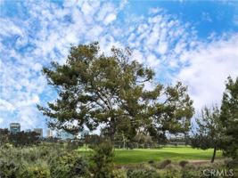 featured image of 320 Villa Point Dr