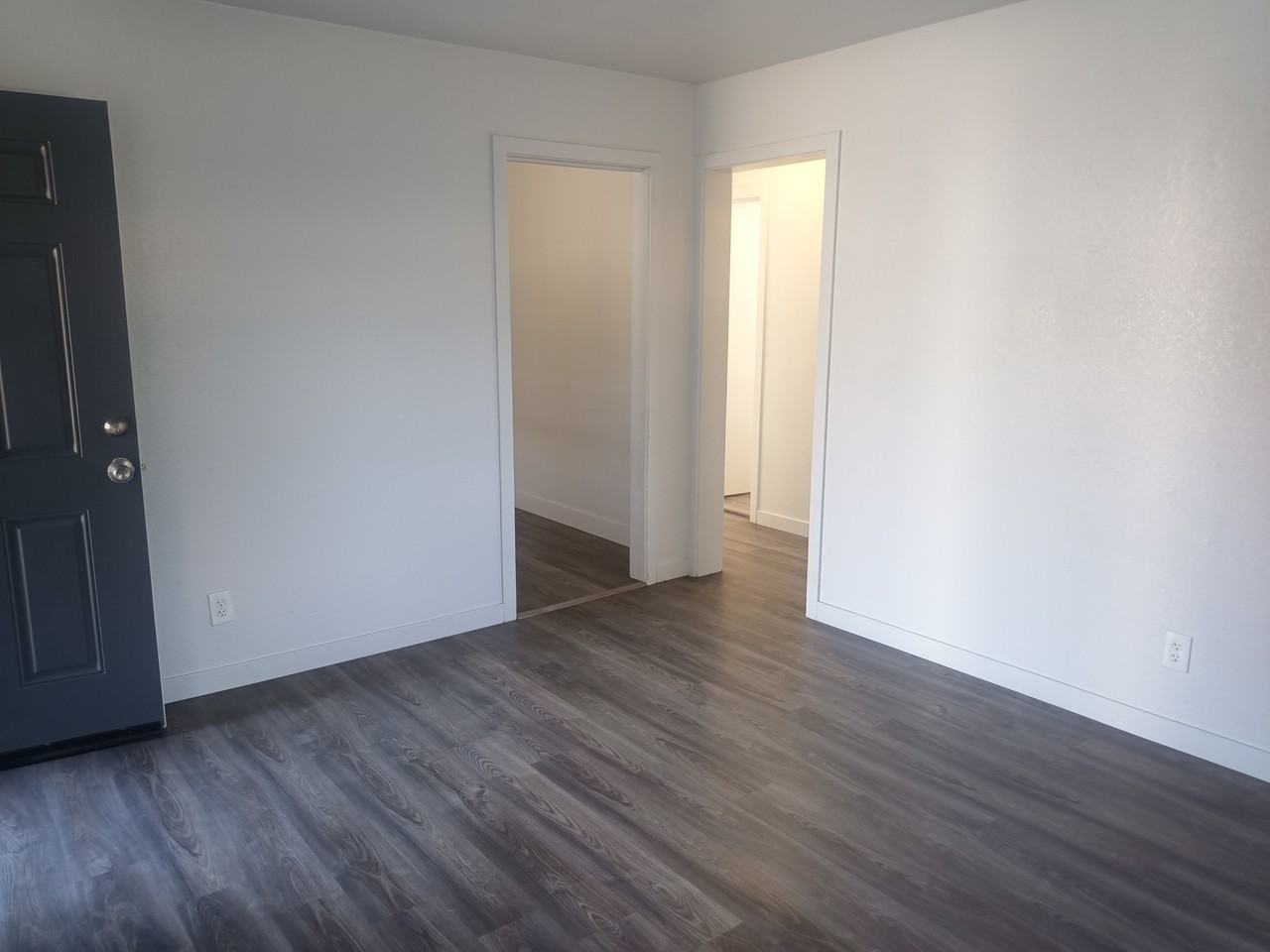ID - 1335 S 5th Ave - LB - Photo 5 of 50