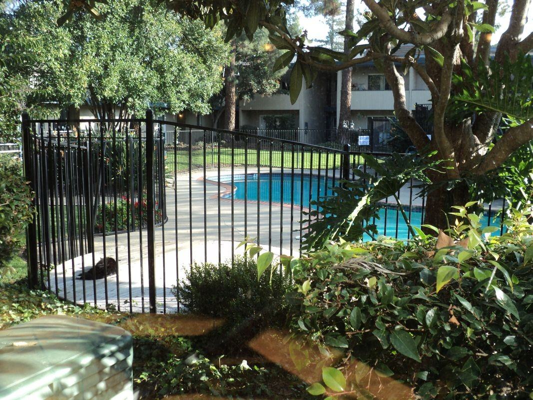 1731 Ellis St ##24 - Photo 2 of 3