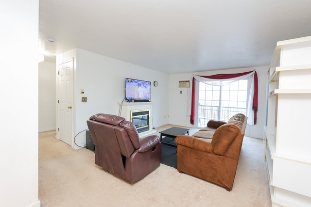 610 S Franklin St #B202 - Photo 7 of 20