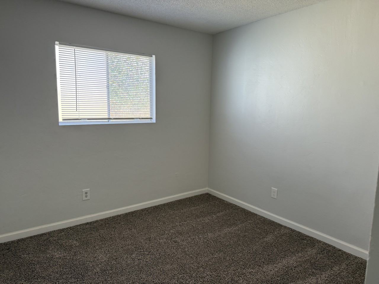 6342 Springfield St #1 - Photo 7 of 12