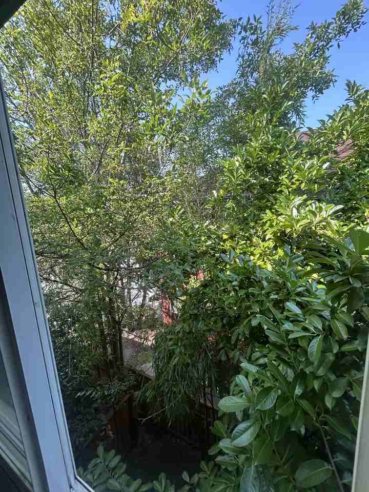 5035 15th Ave. N.E. - 303 #303 - Photo 3 of 18
