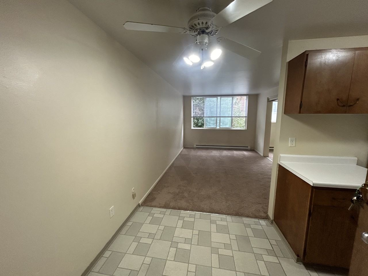 5035 15th Ave. N.E. - 204 #204 - Photo 7 of 18