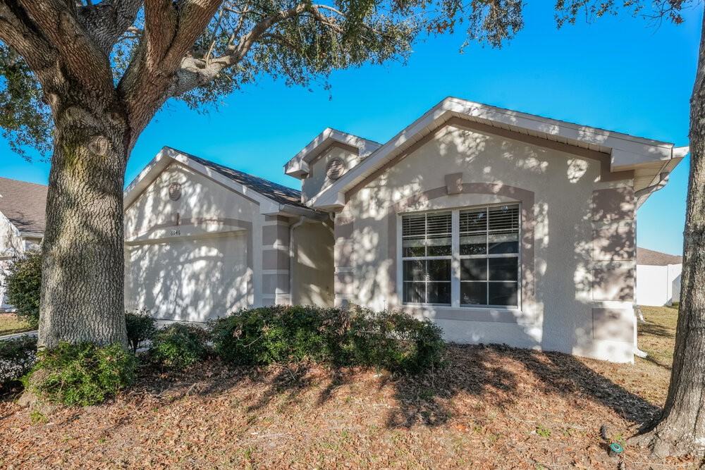 6046 Desert Peace Ave - Photo 3 of 16