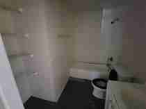 713 Cedar St #10 - Photo 5 of 10