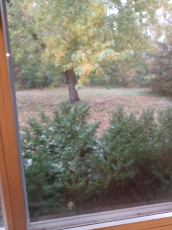 11840 26th Avenue Chippewa Falls WI - Photo 3 of 8