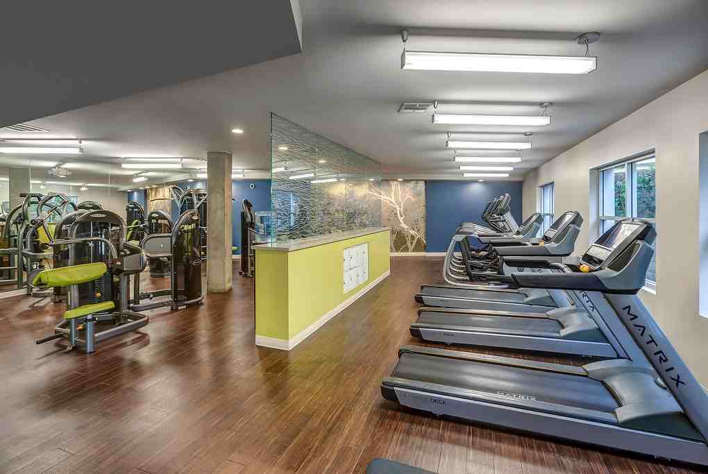 Ashton Sherman Village - Photo 4 of 45