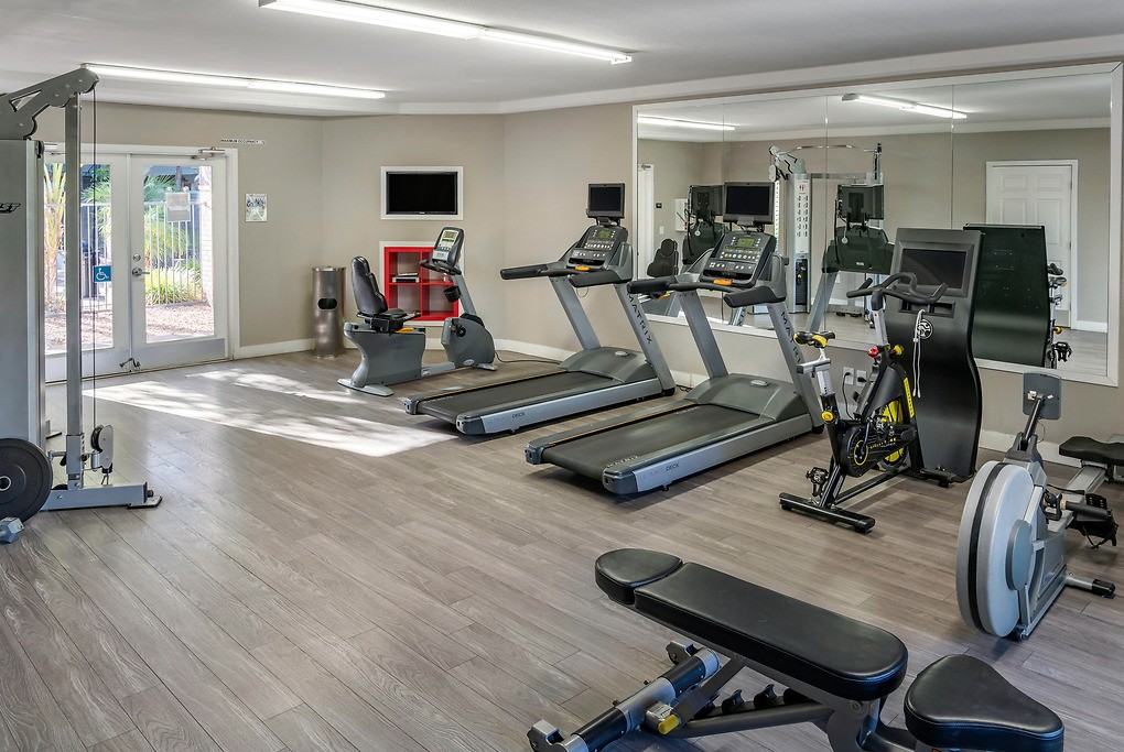 Regency at Mountain View - Photo 4 of 43