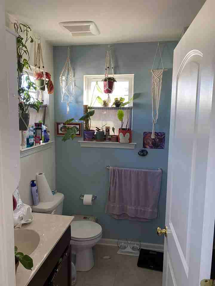 18 Alerica Ln #18 - Photo 7 of 16