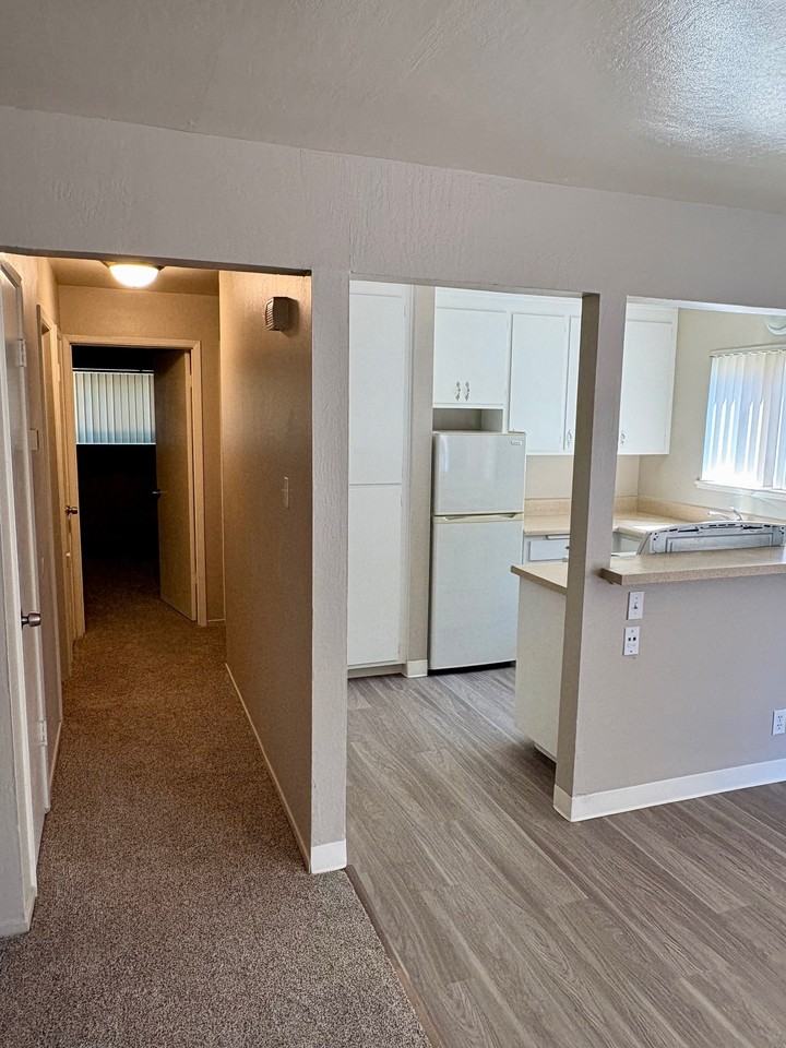 1736 Fillmore St #1 - Photo 5 of 11