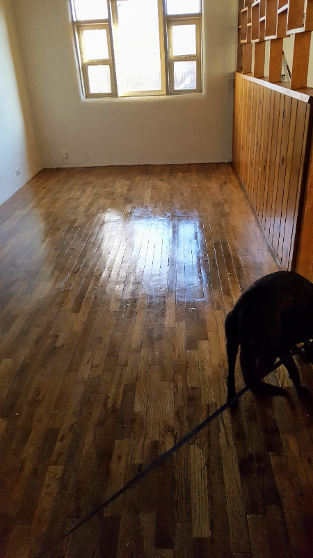 126 Fiesta St - Photo 6 of 17