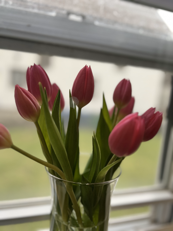 183 Florida St Lowr - Photo 7 of 23