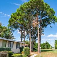 featured image of 33305 Ryan Dr #123