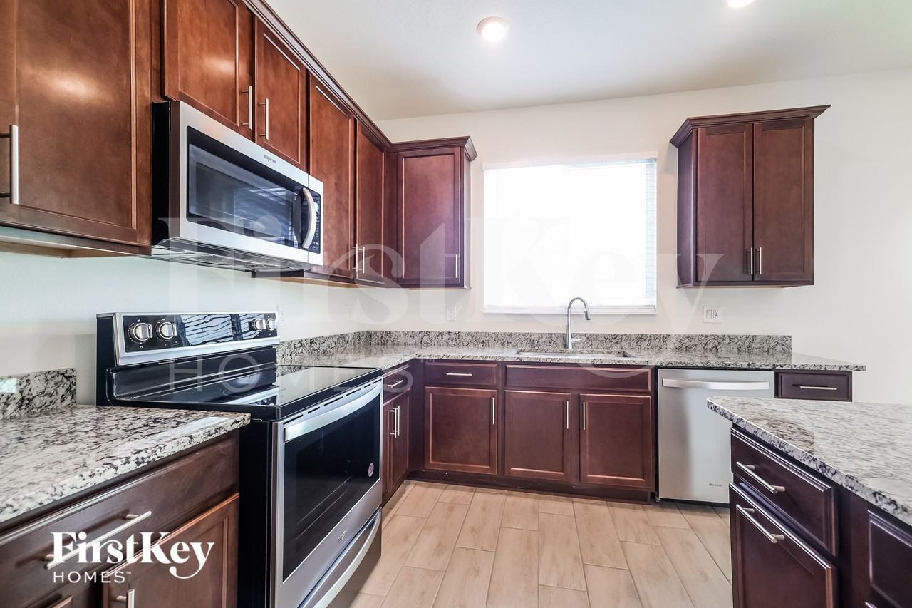 957 Gotthard Pass Dr - Photo 4 of 15