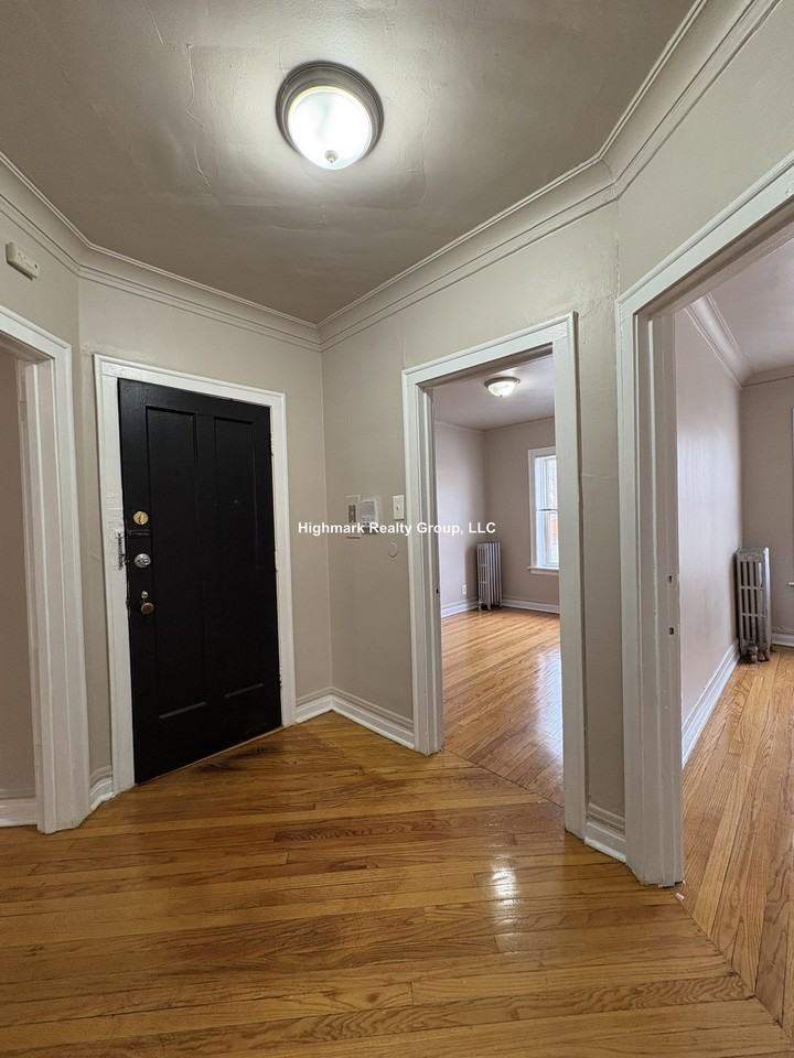 4267 W Addison St #1 - Photo 4 of 11