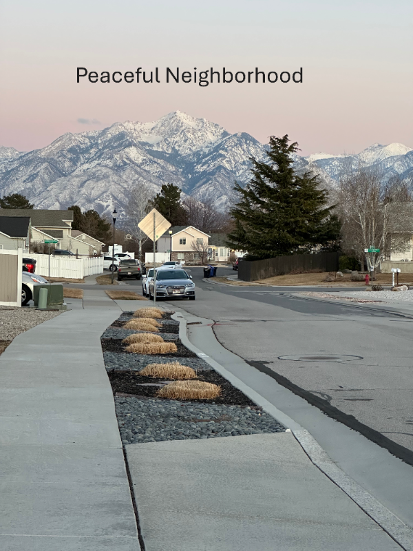 7896 S Goldenpointe Way - Photo 2 of 21