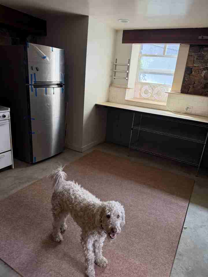 553 E St #BS - Photo 4 of 14