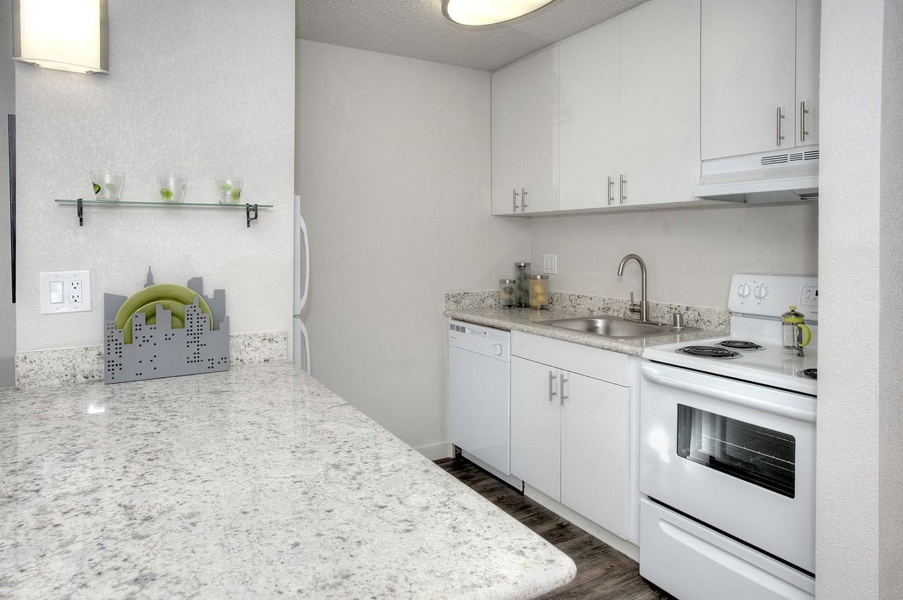1255 University Avenue - Photo 4 of 14