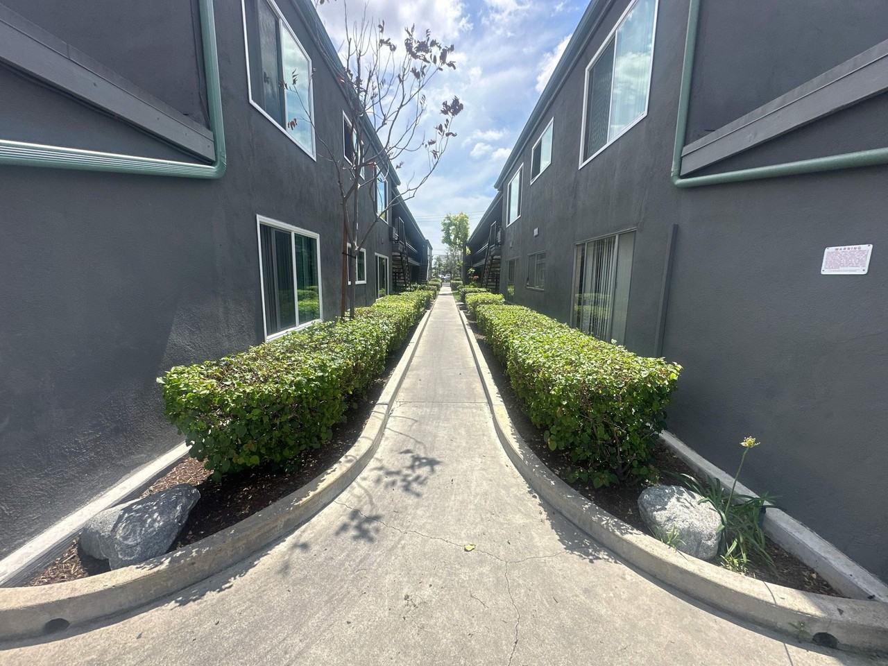 Olivewood Apartments | by Vanguard Property Group - Photo 6 of 19