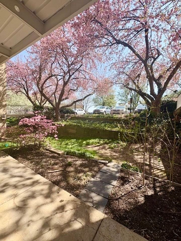 7547 Spring Lake Dr #2 - Photo 4 of 25