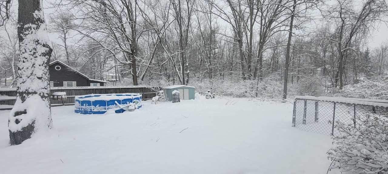 407 Arcadia Ave - Photo 5 of 5