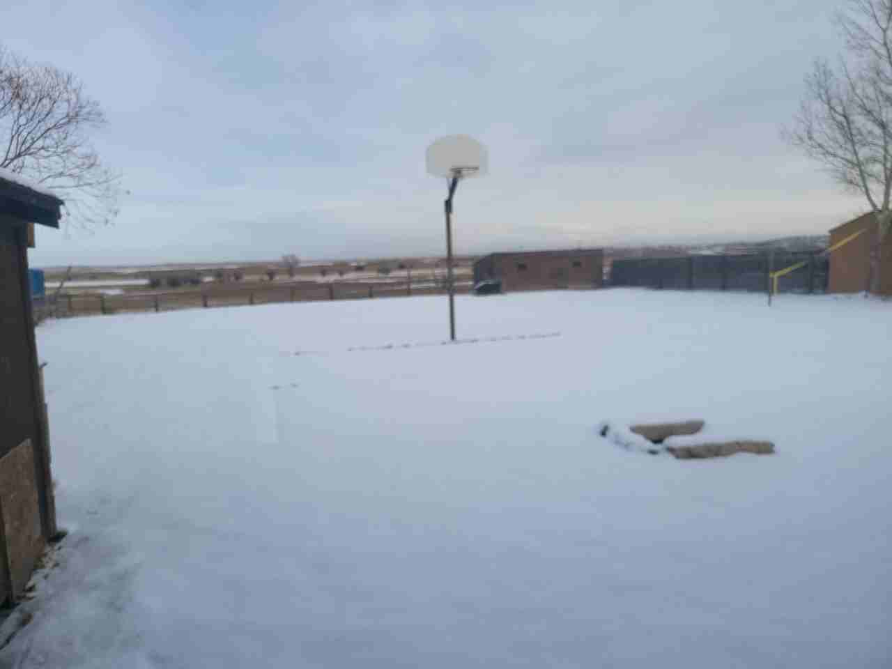 1411 Piney Dr - Photo 2 of 15