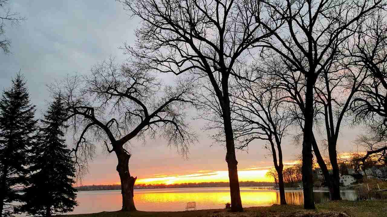 3995 N Shore Dr - Photo 2 of 21