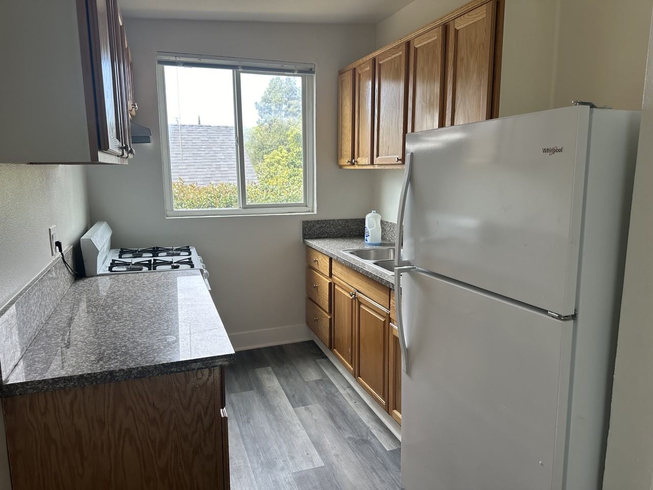 1023 Hewitt St #4 - Photo 2 of 7