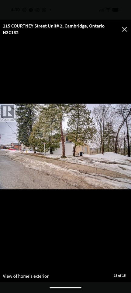 115 Courtney Street - Photo 5 of 12