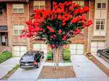 2043 Cobblestone Cir Ne - Photo 1 of 1