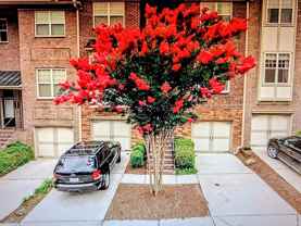 2043 Cobblestone Cir Ne - Photo 1 of 1