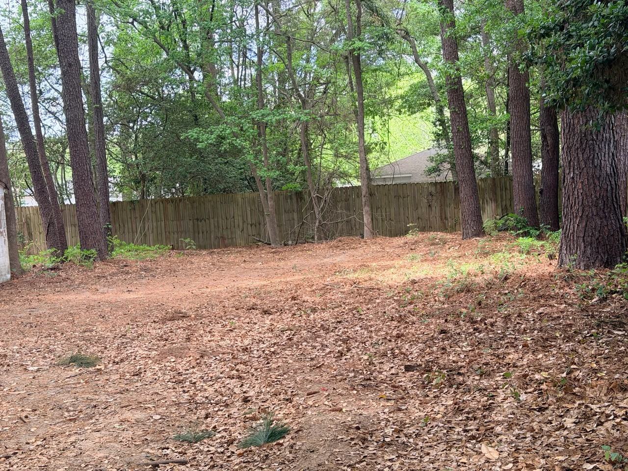 1540 Orange Grove Rd #A - Photo 5 of 17