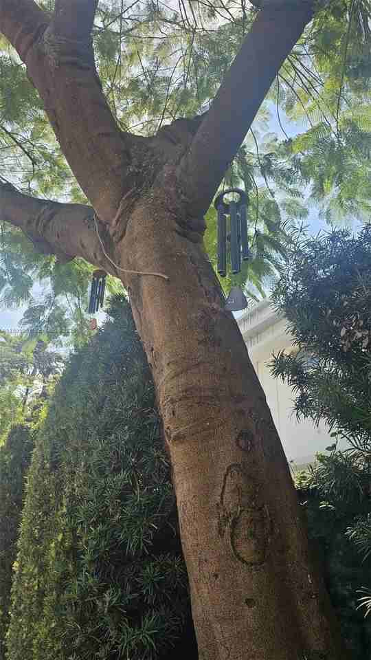 1616 Michigan Ave #11 - Photo 7 of 23