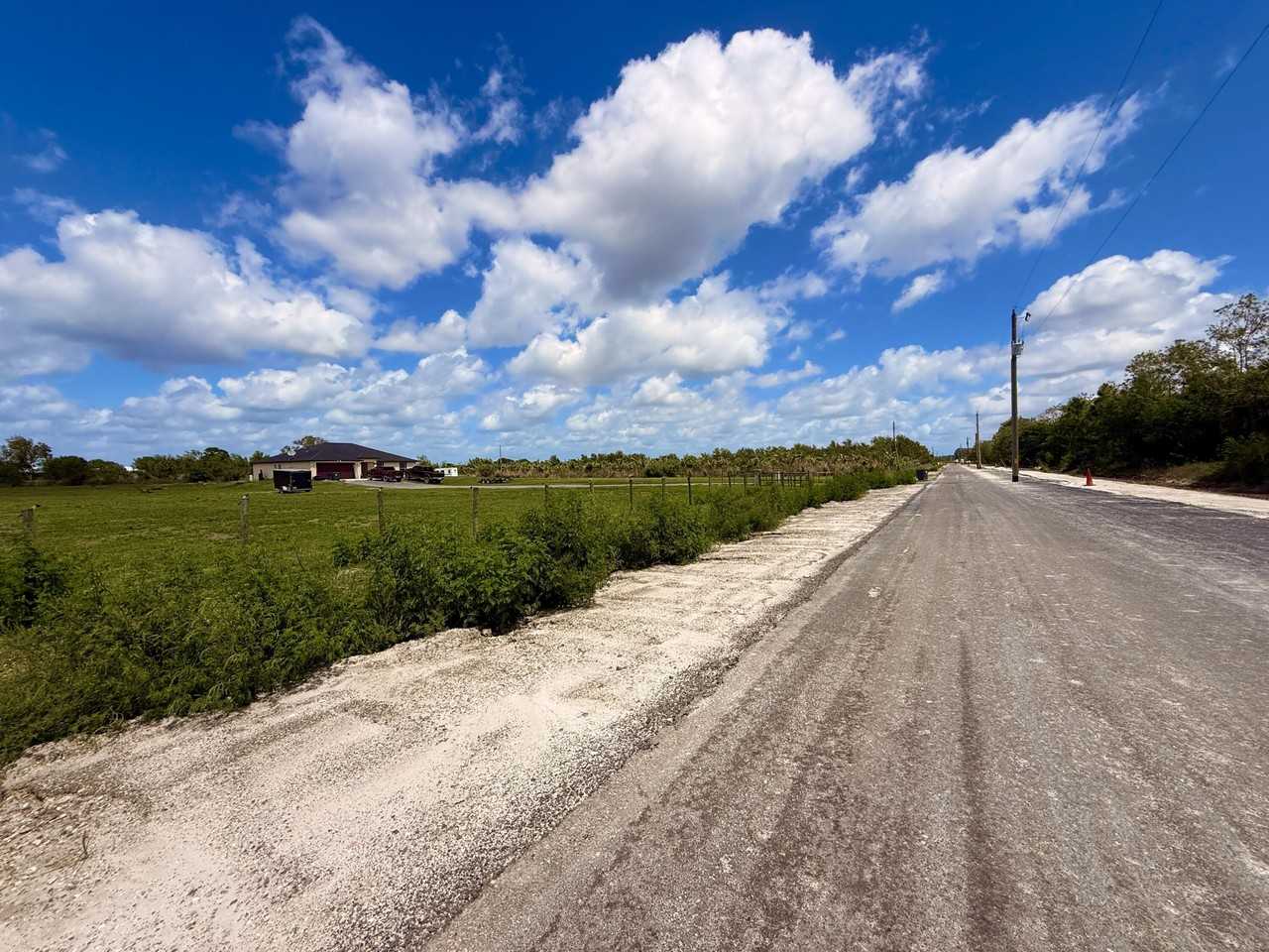 20365 Marie Ct - Photo 3 of 50