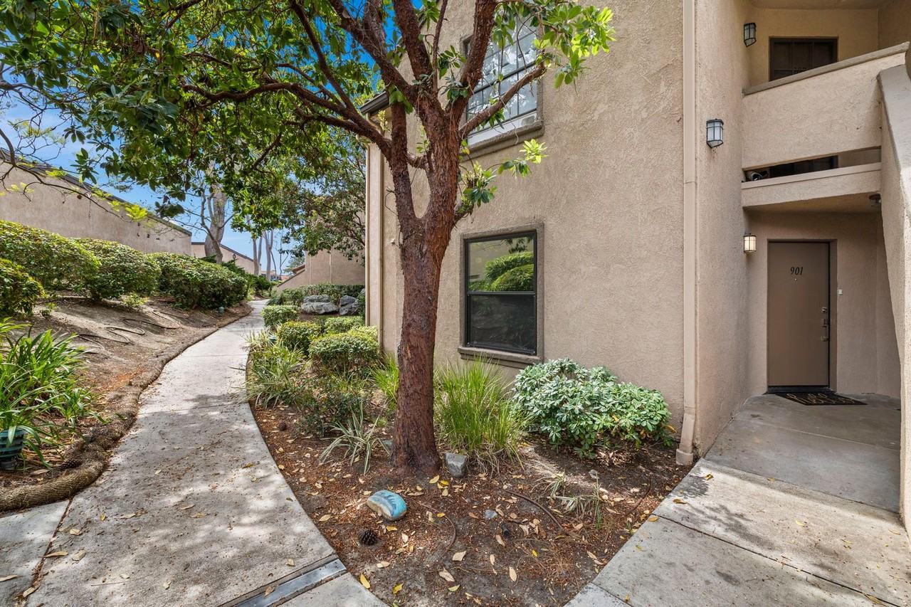 1056 Calle Del Cerro - Photo 2 of 20