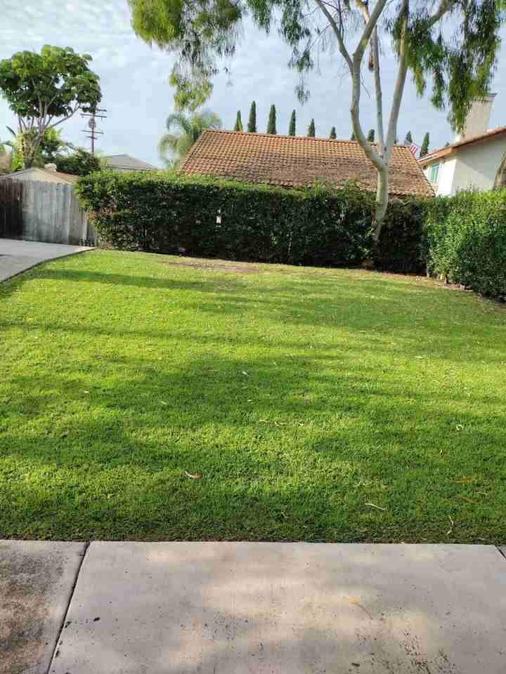 4724 63rd St - Photo 3 of 40