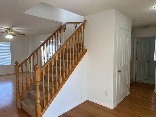 3736 12 Street - Photo 2 of 26