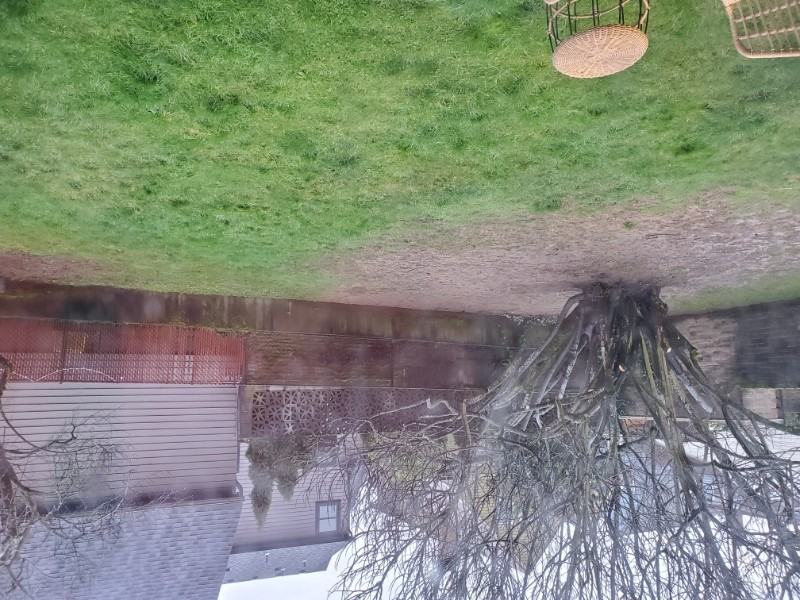 1734 Se 20th Ave - Photo 3 of 4