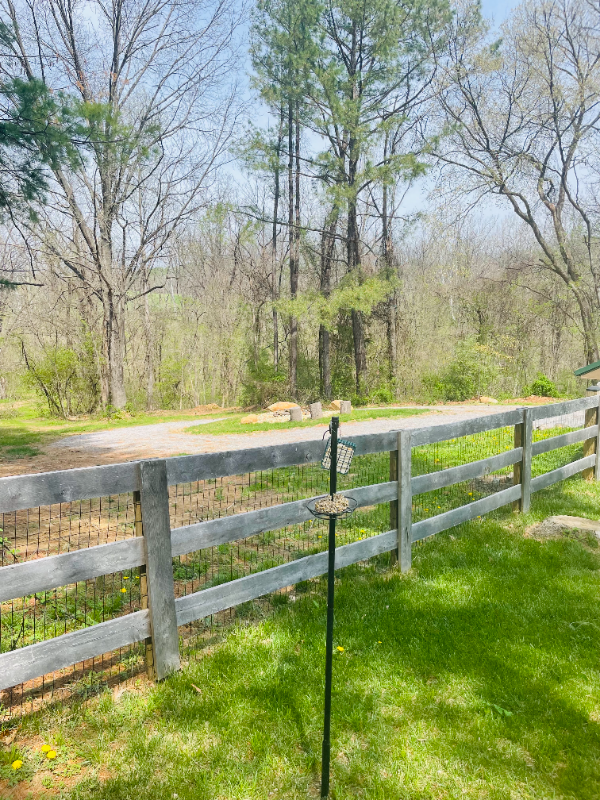 38360 Hughesville Rd - Photo 7 of 30