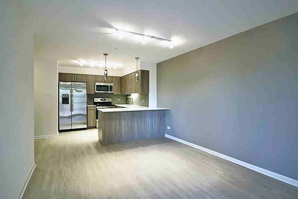 899 S Ashland Ave #304 - Photo 4 of 15