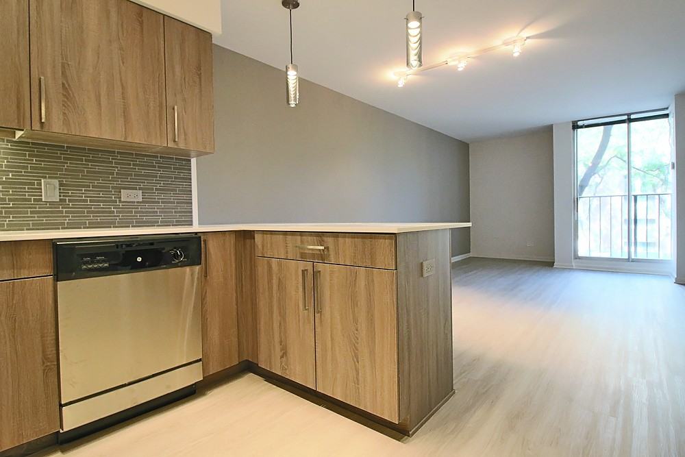 899 S Ashland Ave #304 - Photo 6 of 15