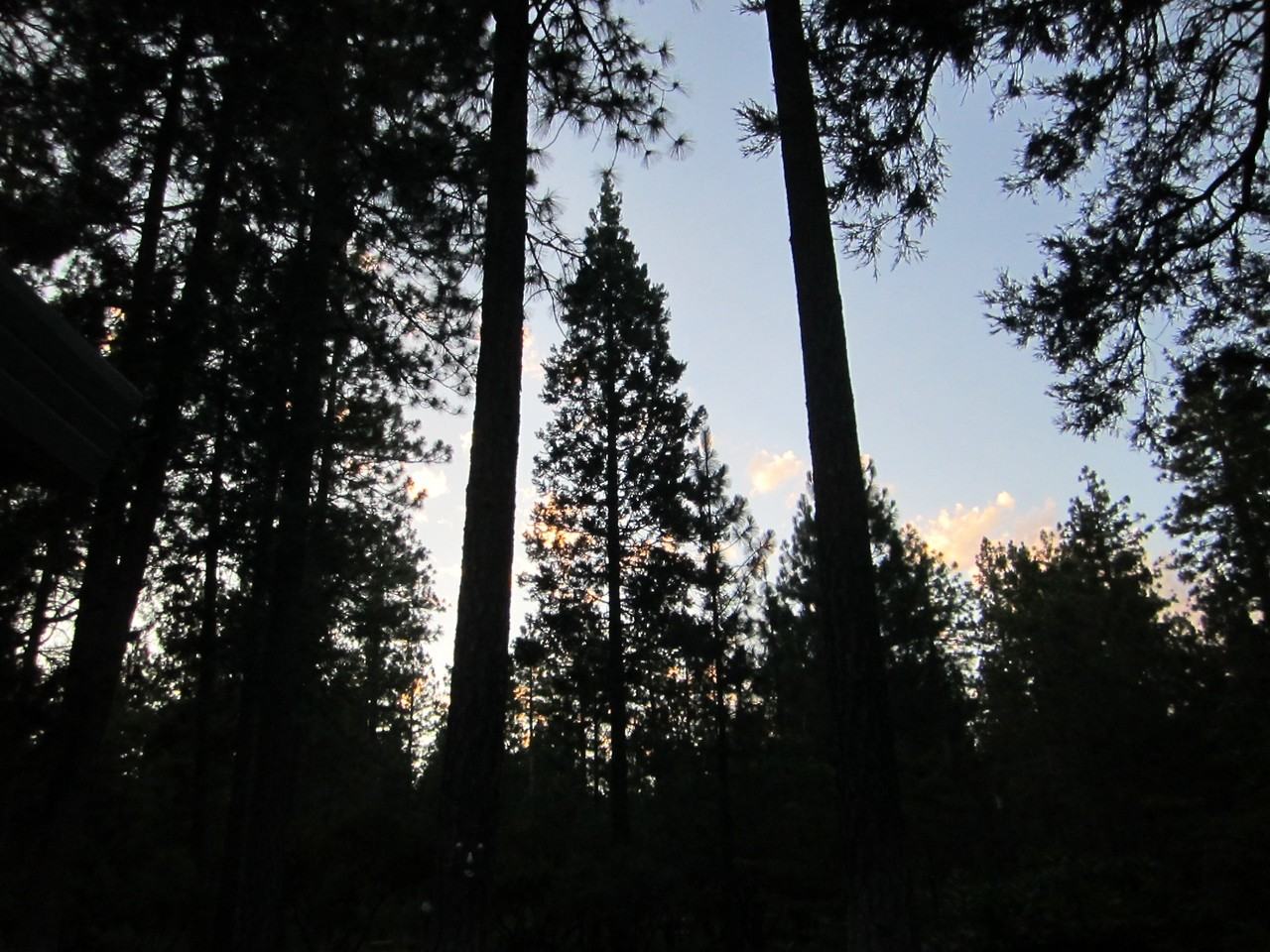 15610 Nopel Ave #NA - Photo 3 of 39