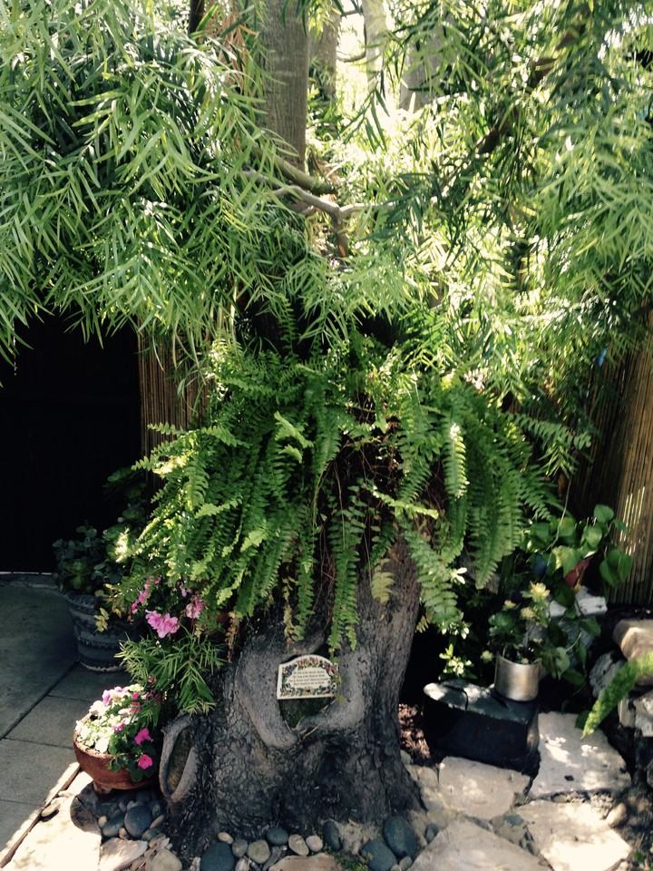 2879 Exeter Pl #1 - Photo 4 of 25