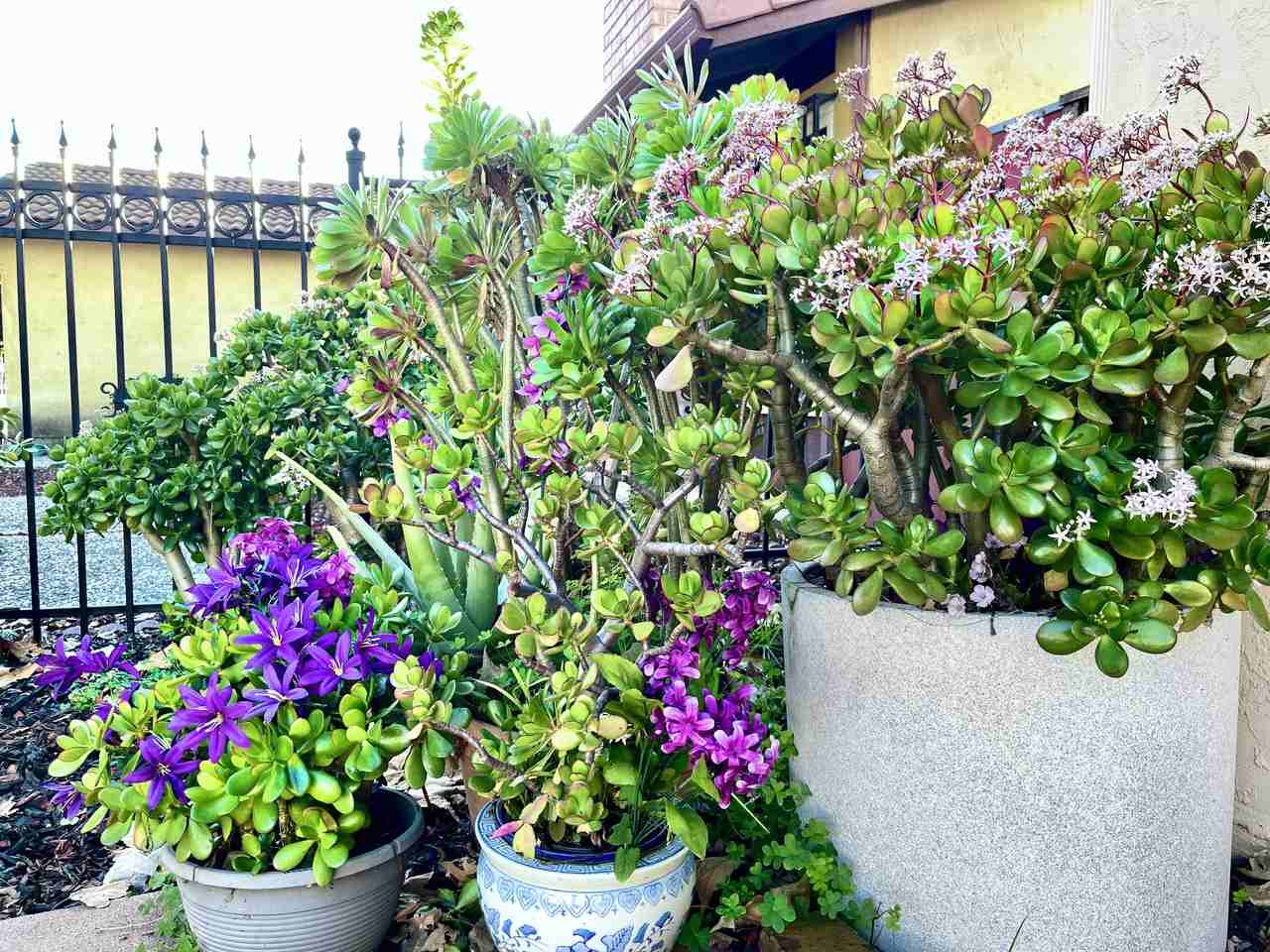 2365 Fallingtree Dr #NA - Photo 2 of 20