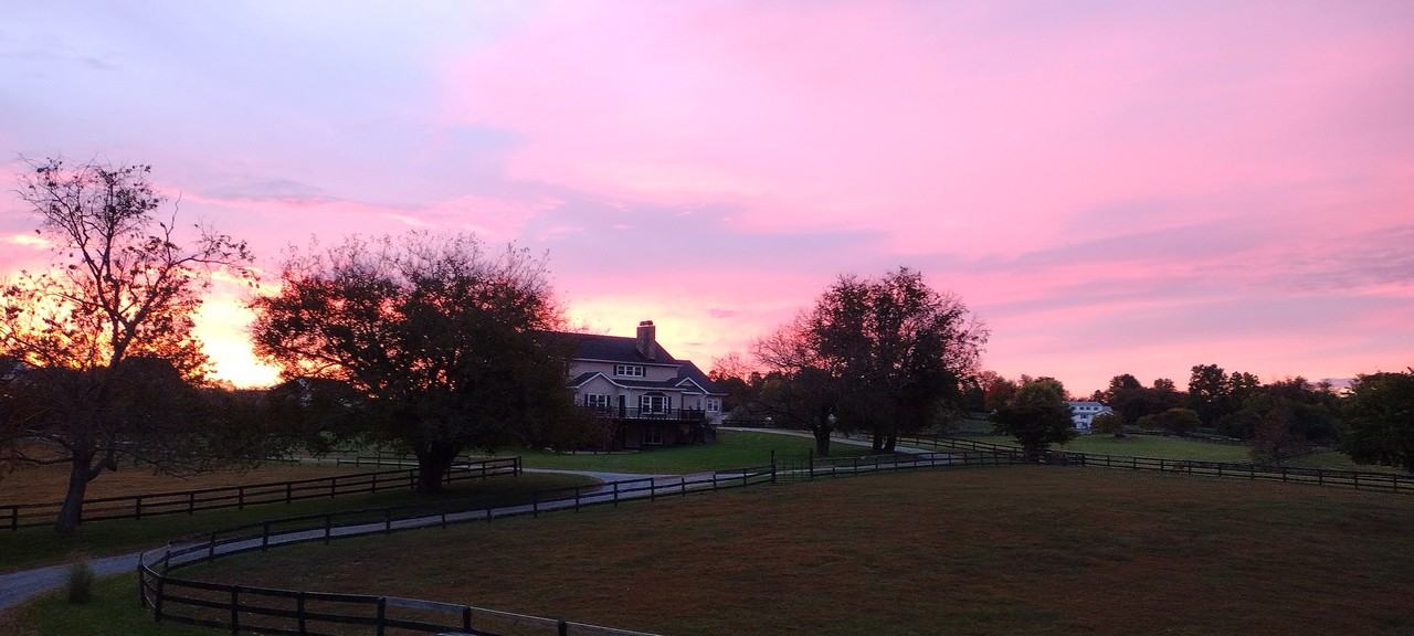 36210 Trail Horse Ln #NA - Photo 3 of 20