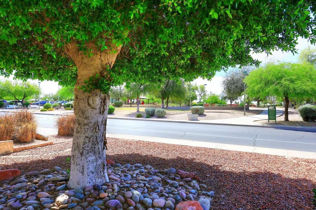 6214 E Virginia St - Photo 3 of 45