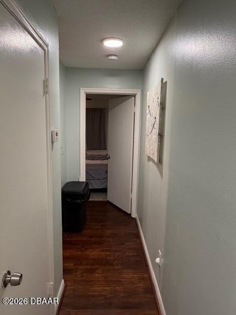 1401 S Palmetto Ave #615 - Photo 6 of 39