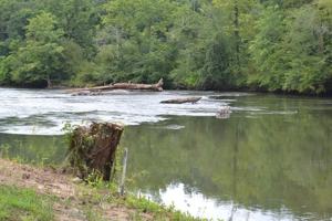 featured image of 960 Robbins Rd