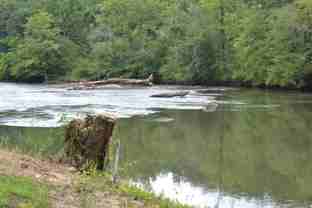 960 Robbins Rd - Photo 1 of 1